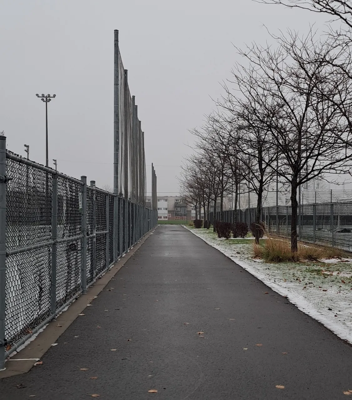 Déplacements sur le site