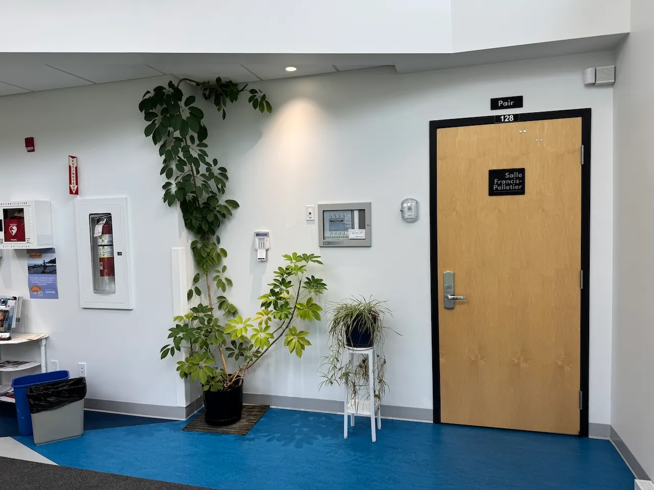 Entrée - Salle Francis-Pelletier