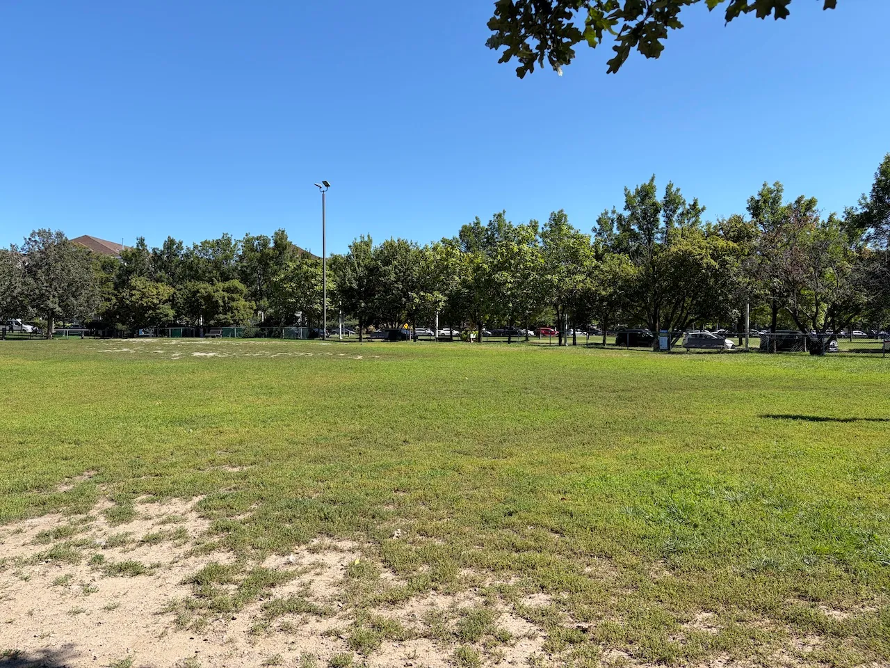 Dog park