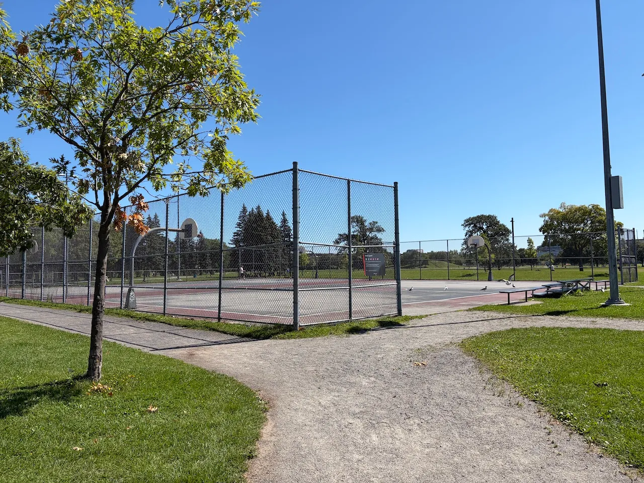 Basketball court