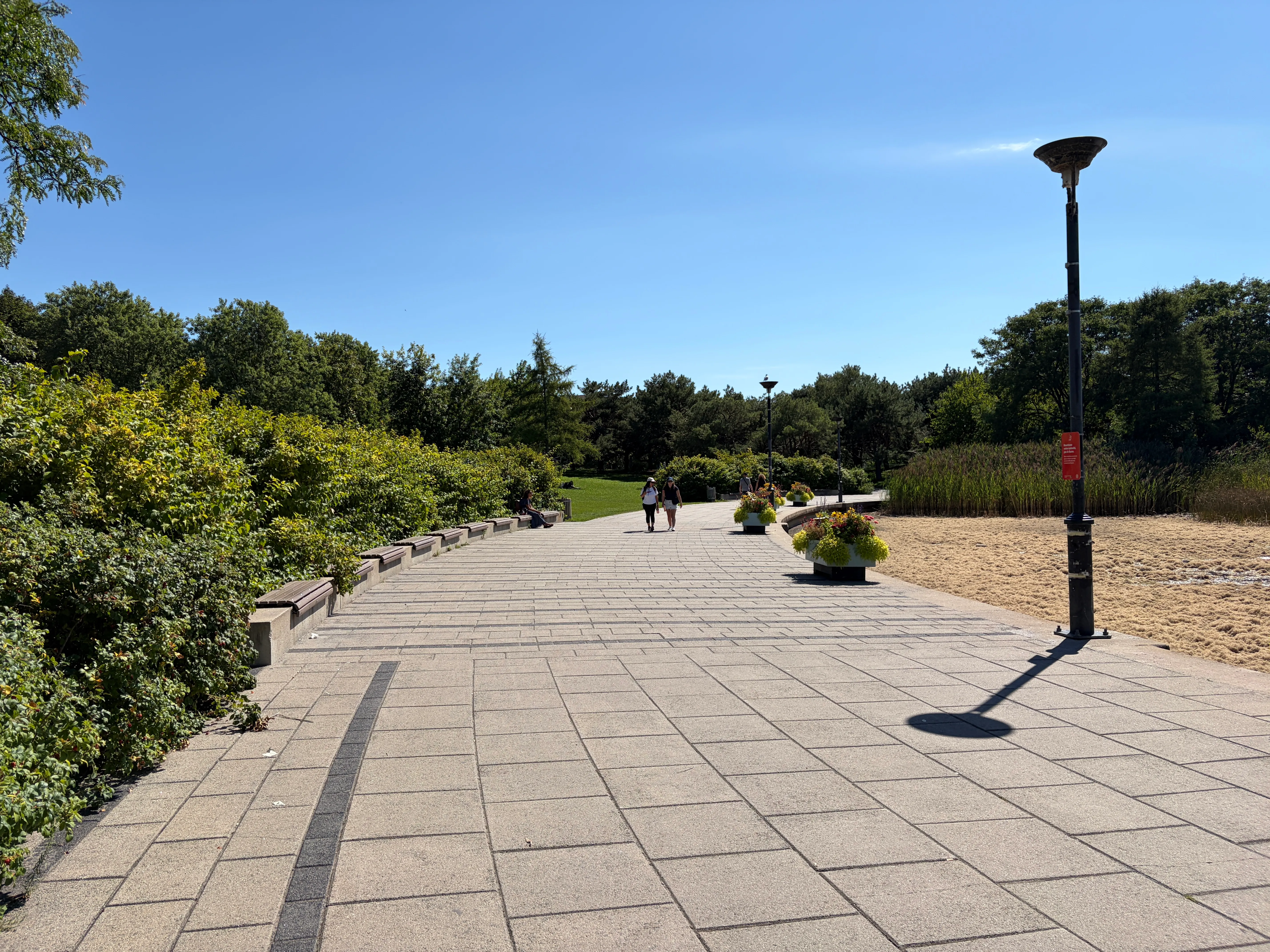 Trail near the pond