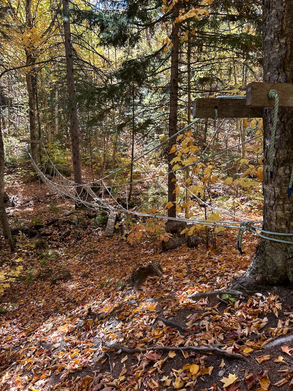 Sentier Lac Lazare en direction du Lac Jérôme