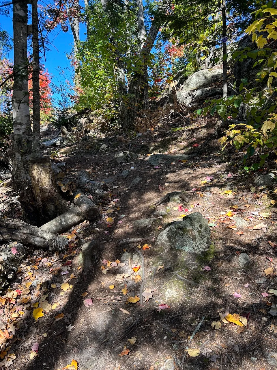 Chemin menant au belvédère des Hauteurs