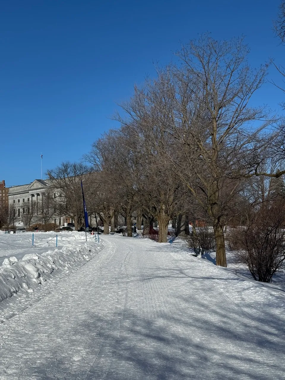 Spectator rallye - Viewpoint 2