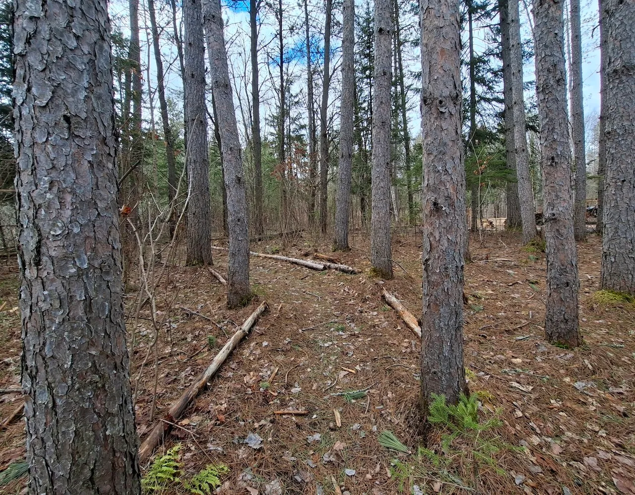 Hiking trail