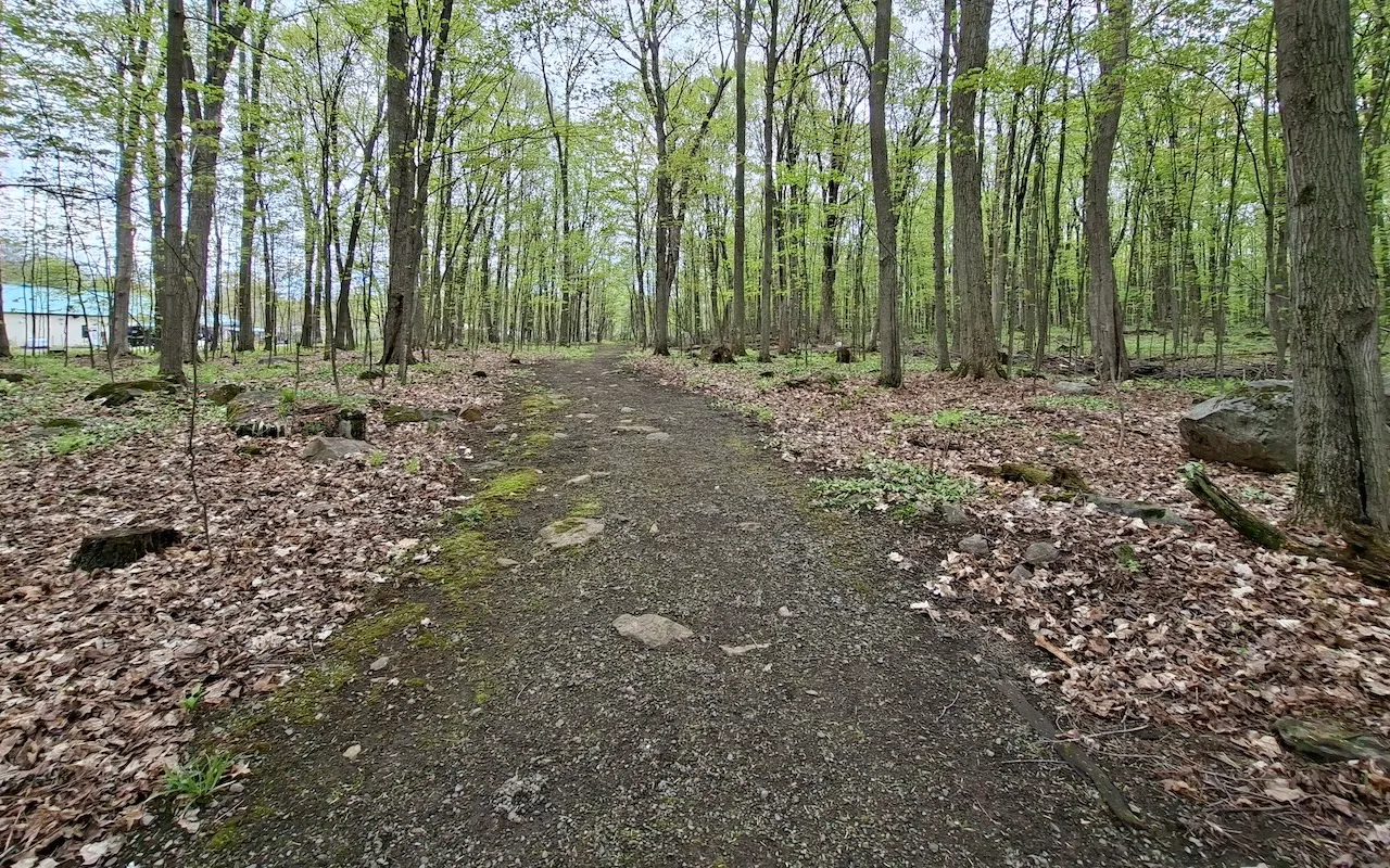 Trail : Under the Maple Trees