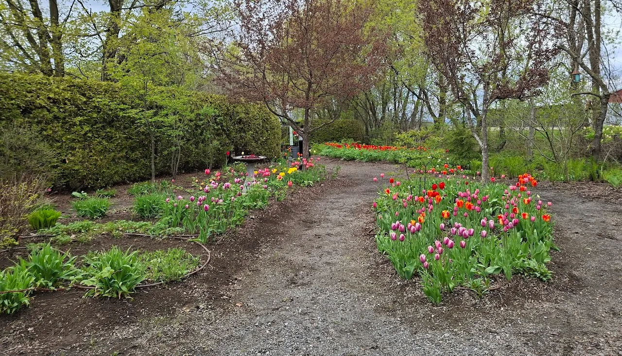 Trail : The Themed Gardens
