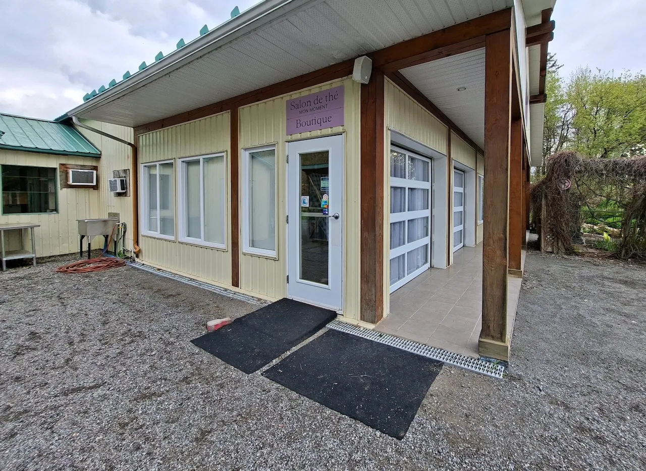 Reception : Tea Room - Shop
