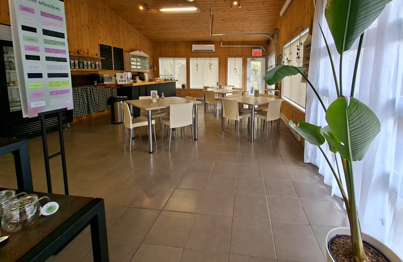 Reception : Tea Room - Shop