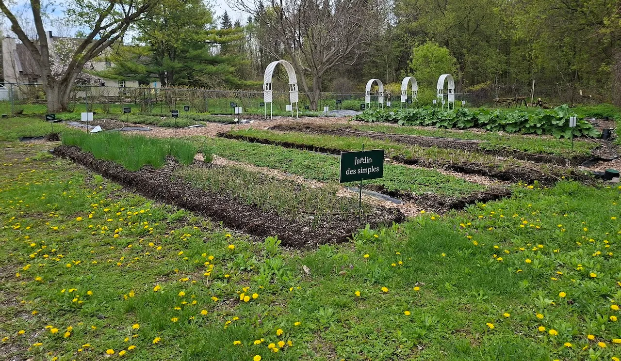 Trail : The Welcome Gardens