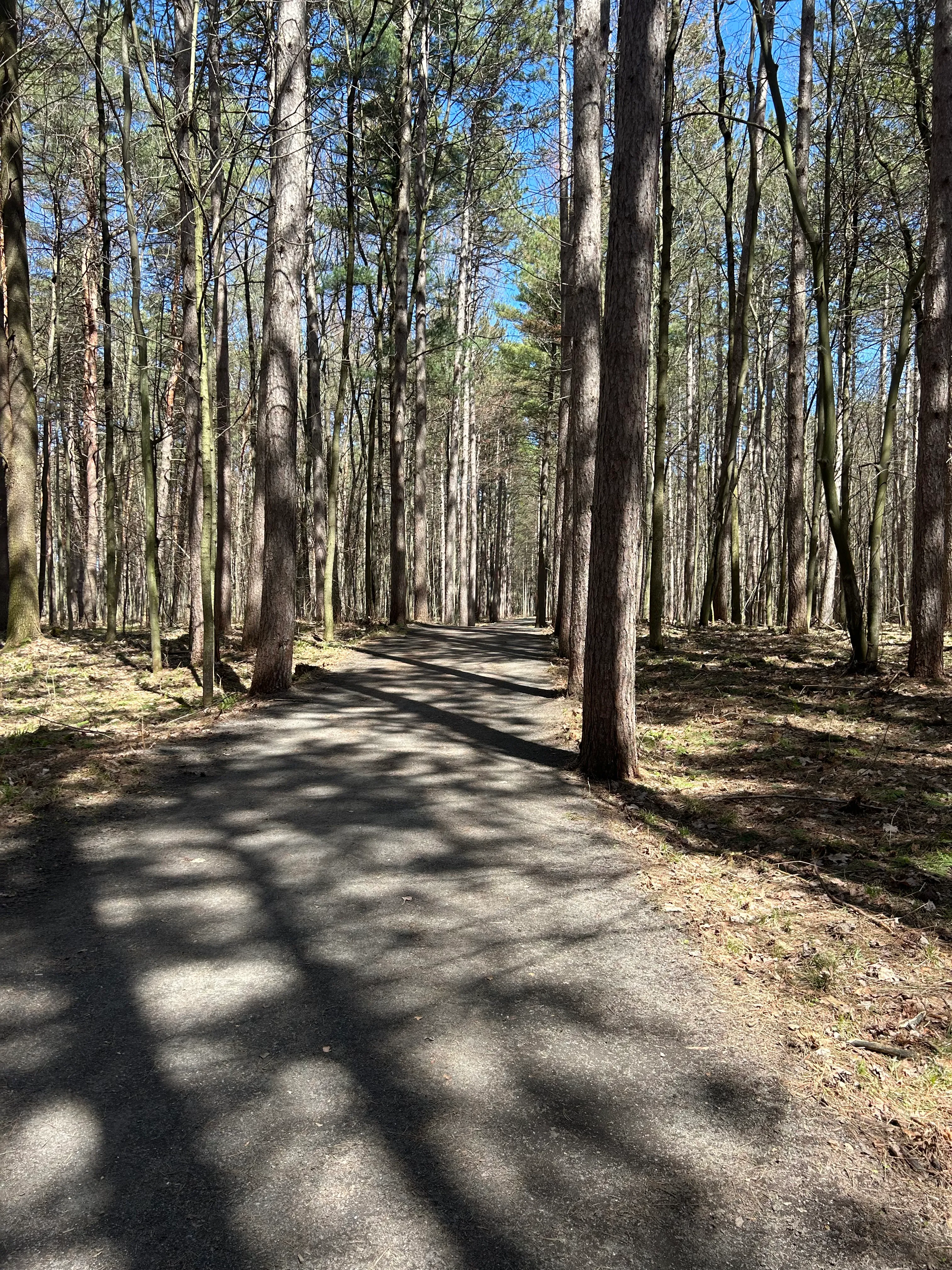Trail