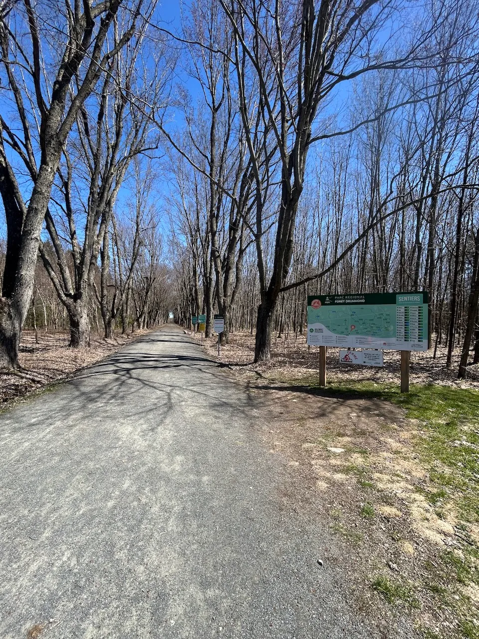 Trail
