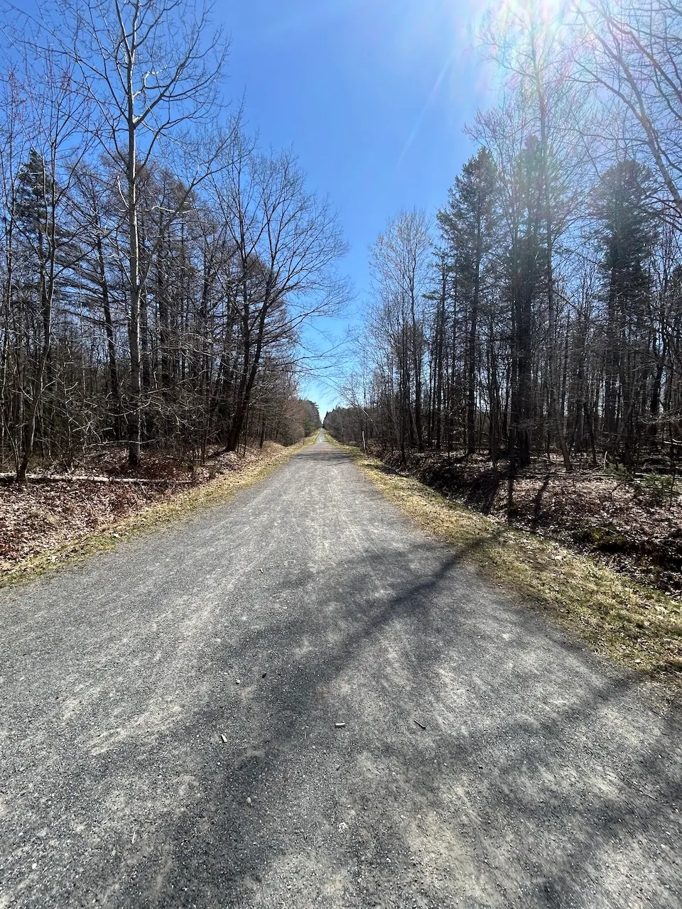 Trail