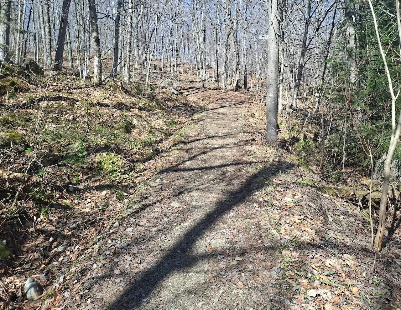 Sentier "Les Orphelins"