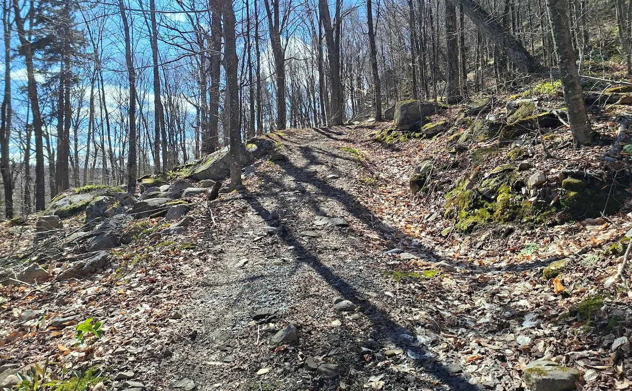 Sentier "Les Orphelins"