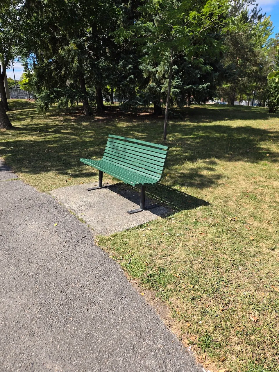 Bench on the park path