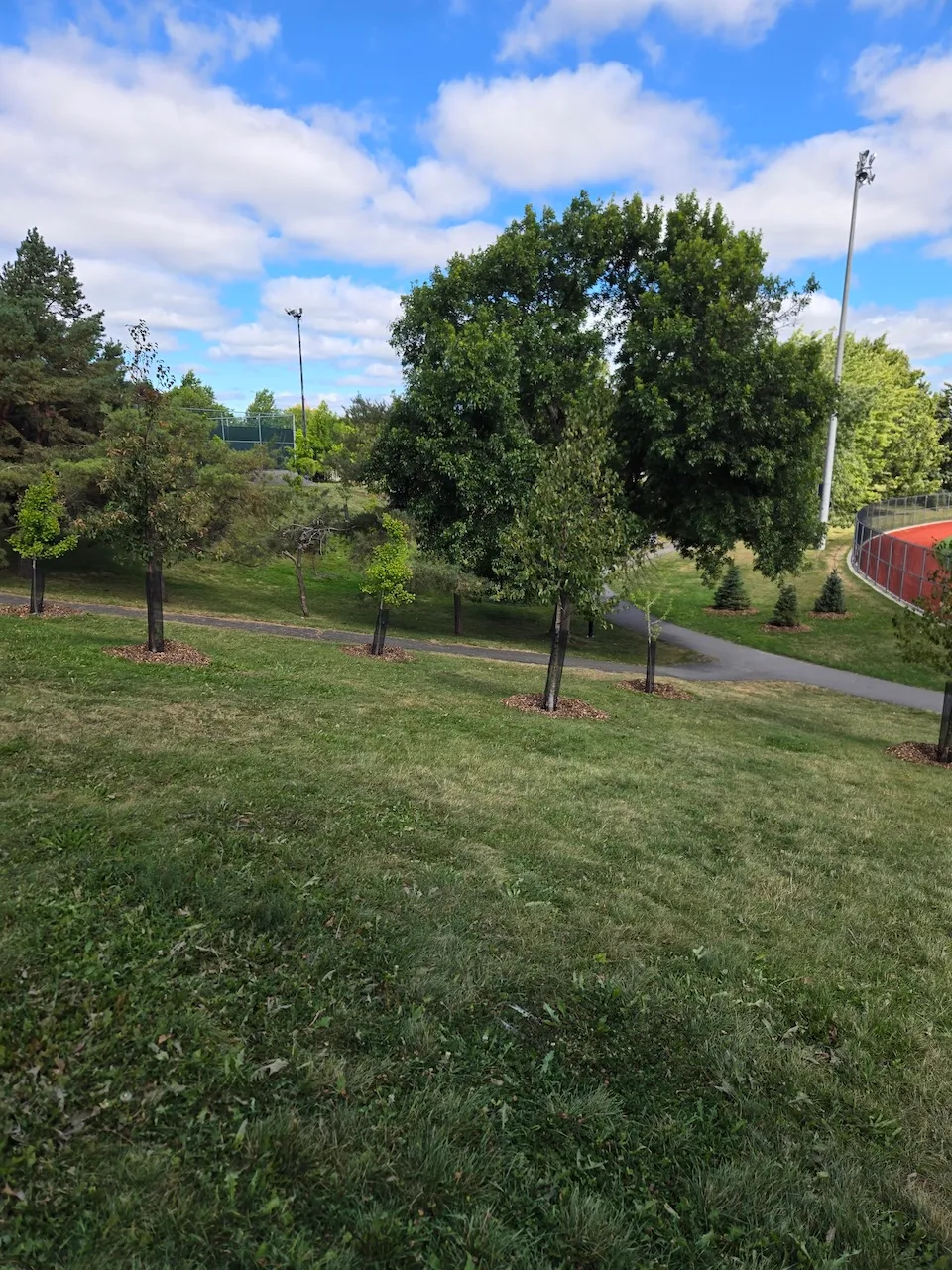Slope on the park site