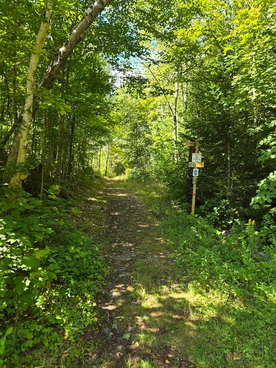 Sentier de randonnée