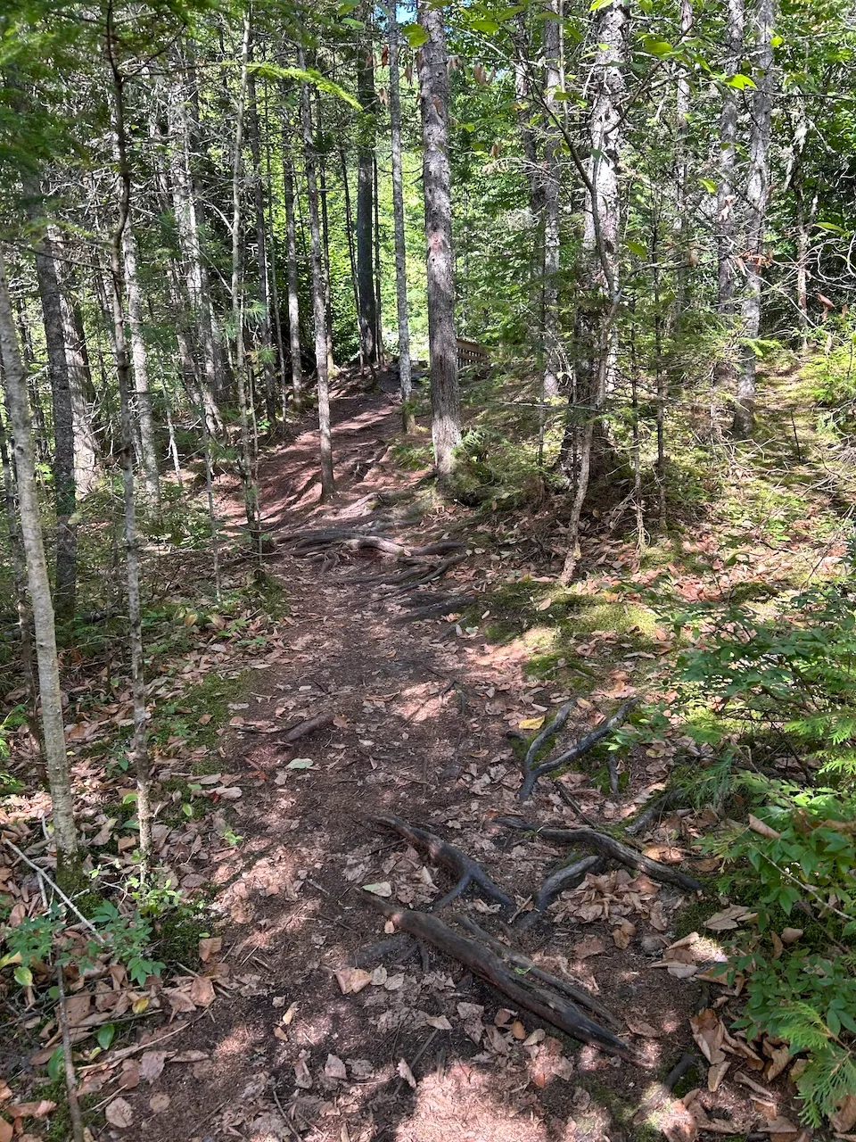 Sentier Chemin des Chutes