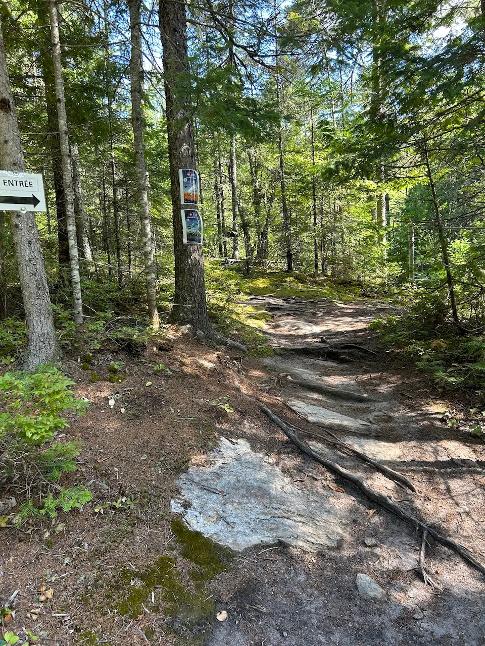 Sentier Chemin des Chutes