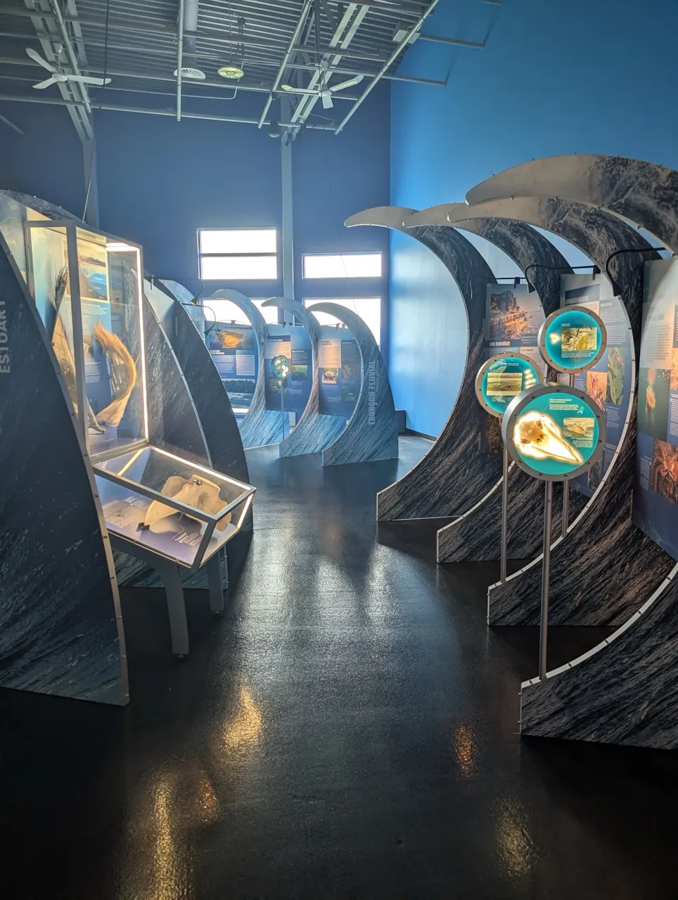 Exposition temporaire "La nature du Saint-Laurent"