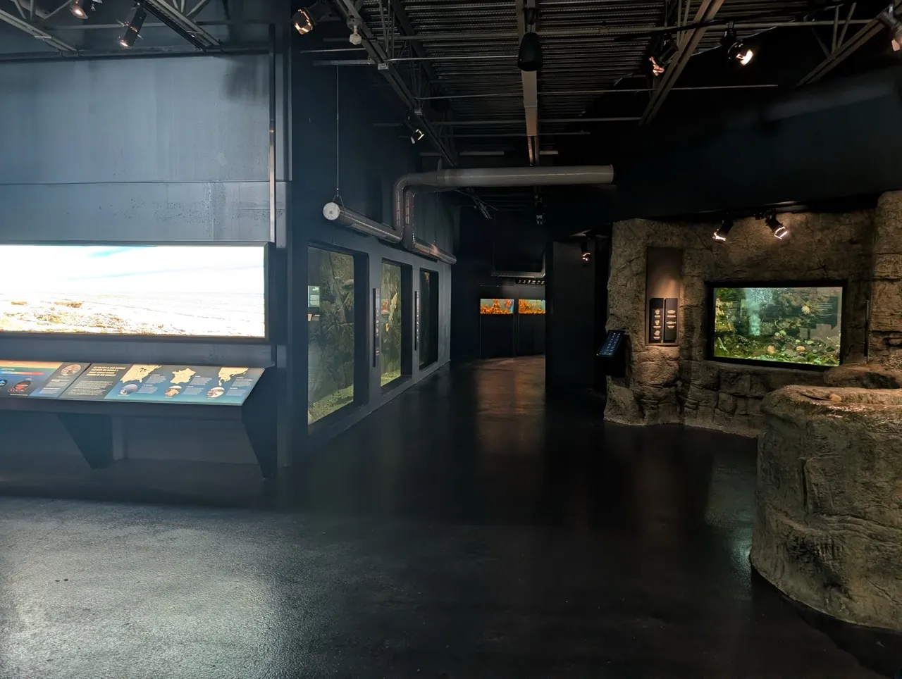 Exposition "Moi le Saint-Laurent".