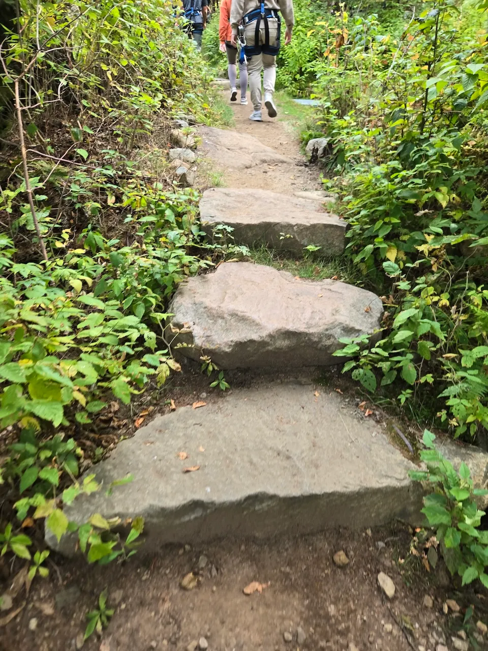 Steps on the trail