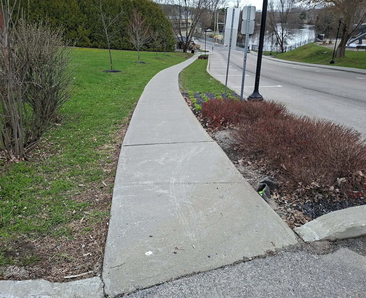 Summer - Path