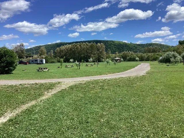 Vue d'ensemble du site