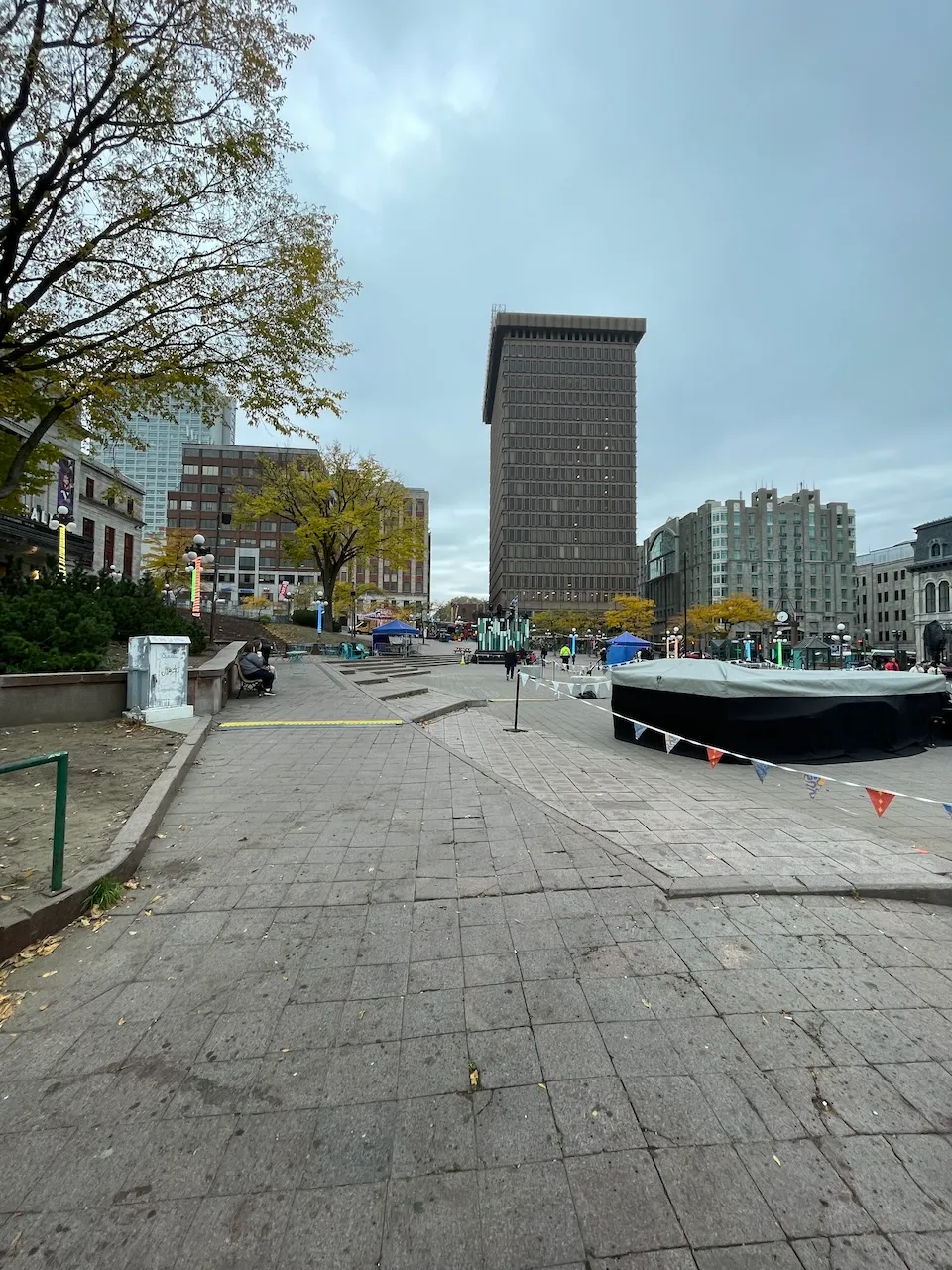 Place D'Youville - Access to the lawn at the bottom of the steps