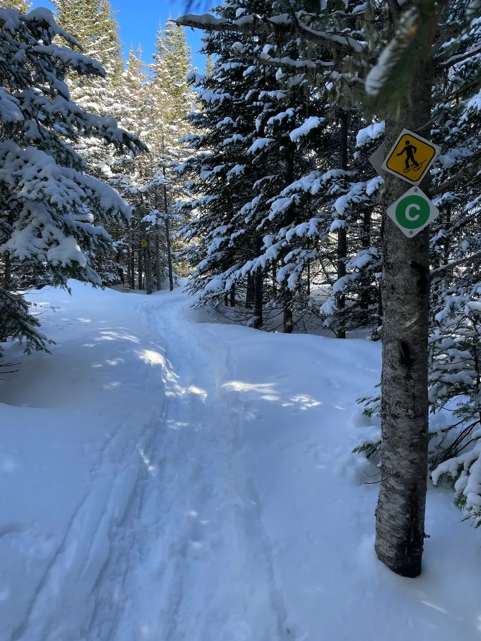 Sentier de raquette du Lac-Gauthier