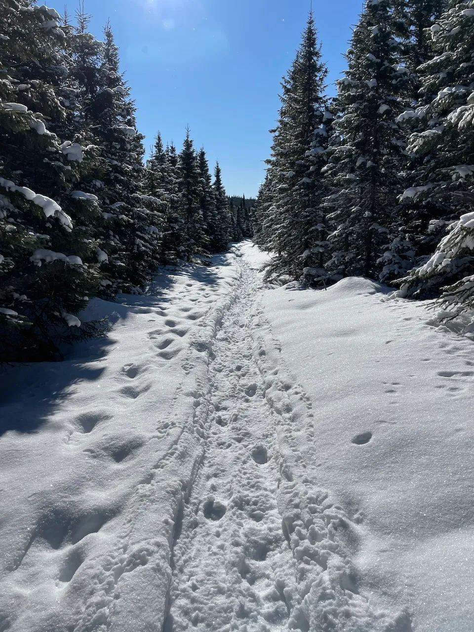 Sentier de raquette du Lac-Gauthier