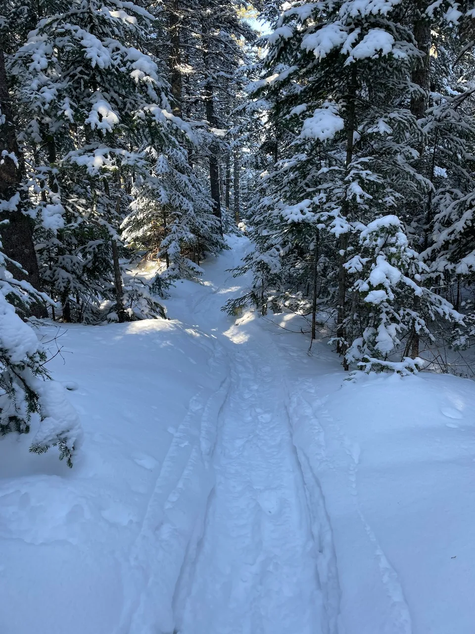 Sentier de raquette du Lac-Gauthier