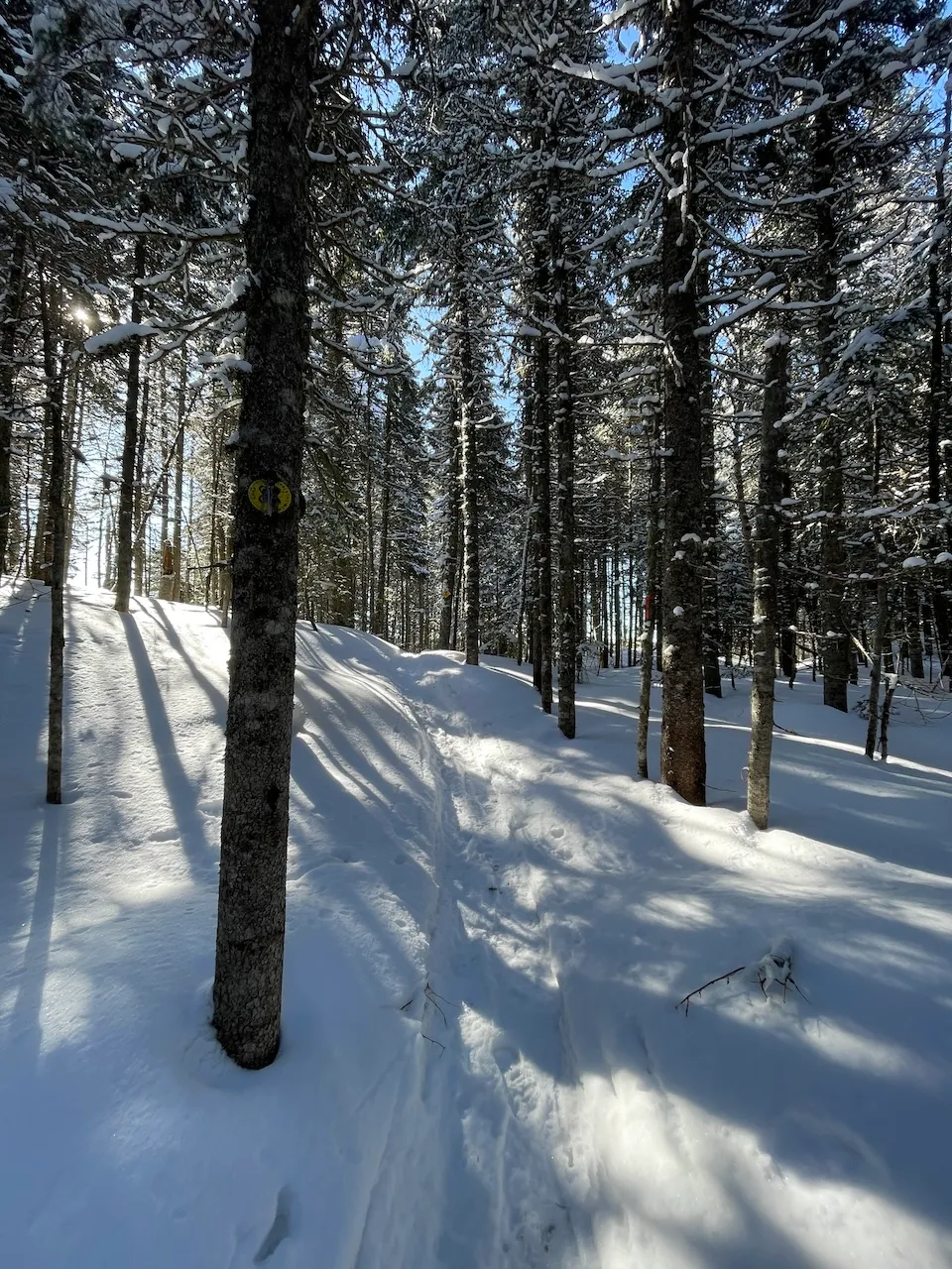 Sentier de raquette du Lac-Gauthier