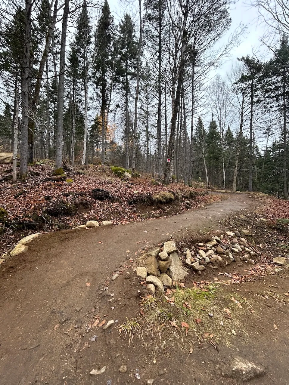 Sentier de vélo de montagne accessible