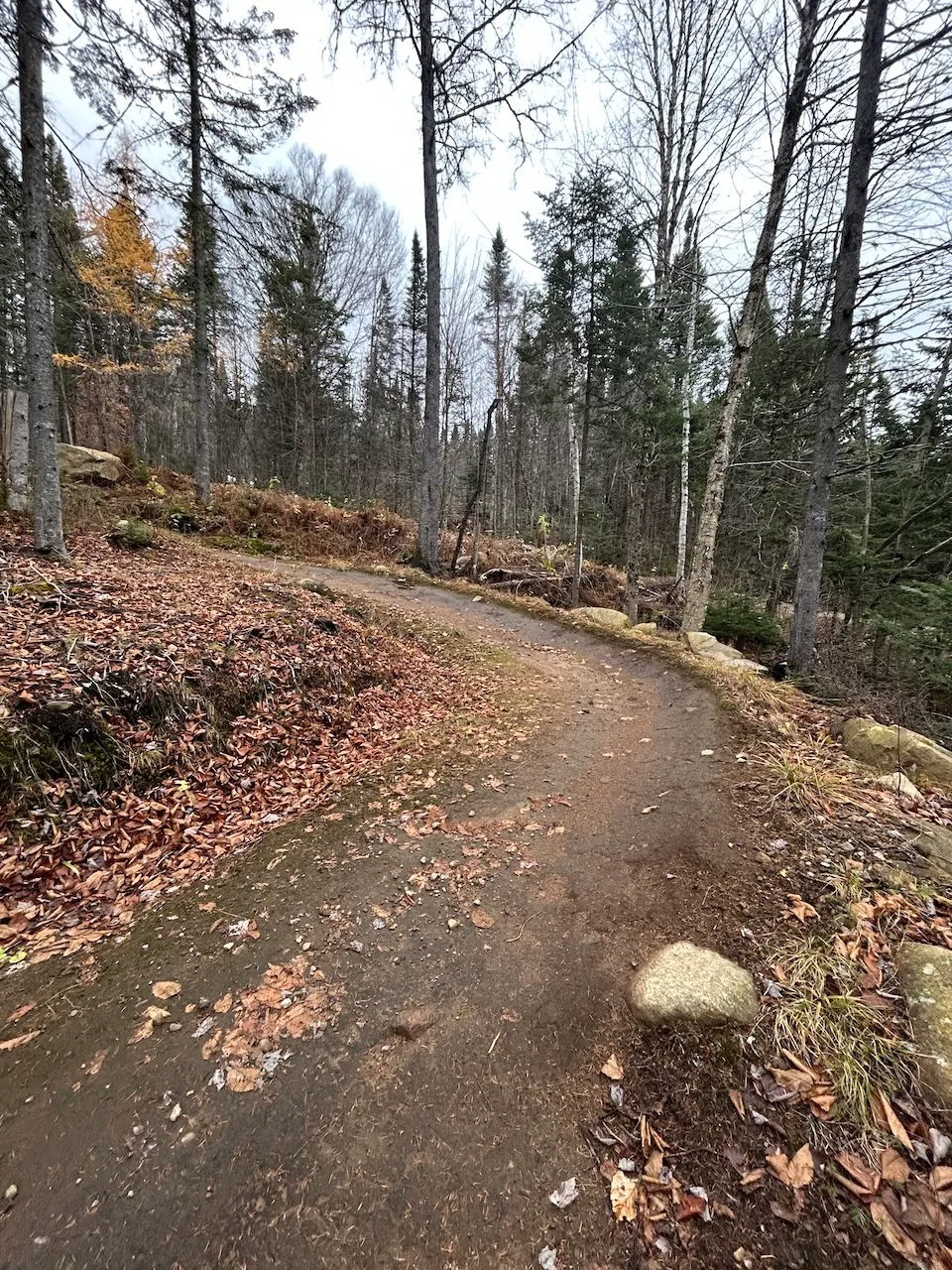 Sentier de vélo de montagne accessible