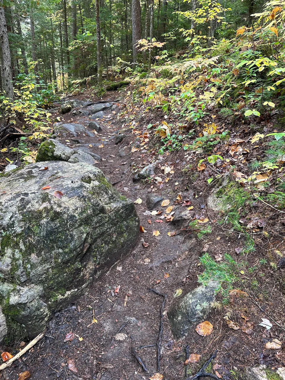 De la chute trail