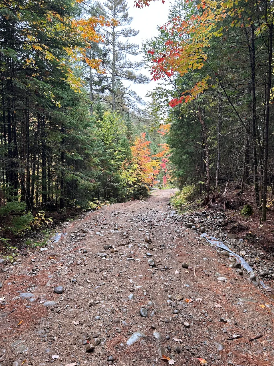 De la dam trail