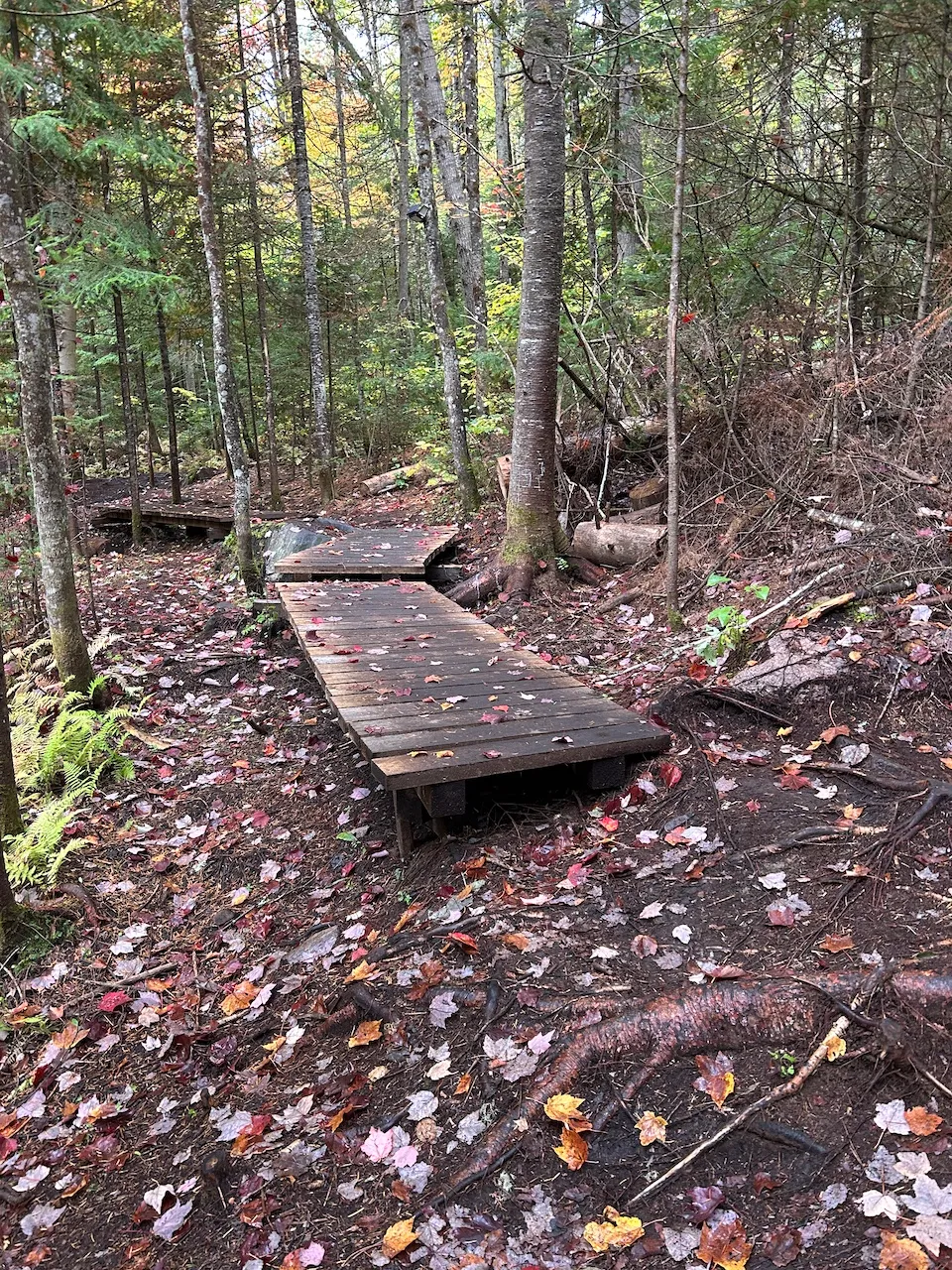 De la chute trail