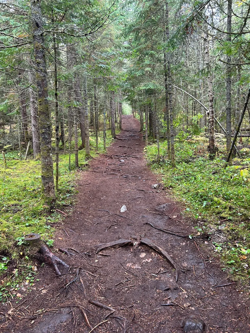 De la chute trail