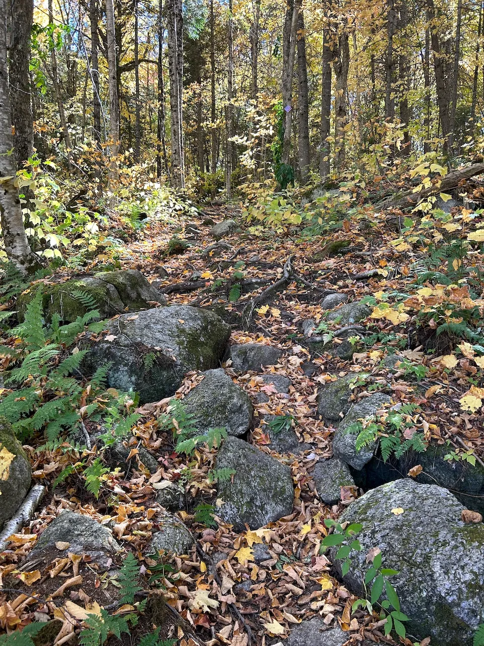 Lac Lazare trail towards Lac Jérôme
