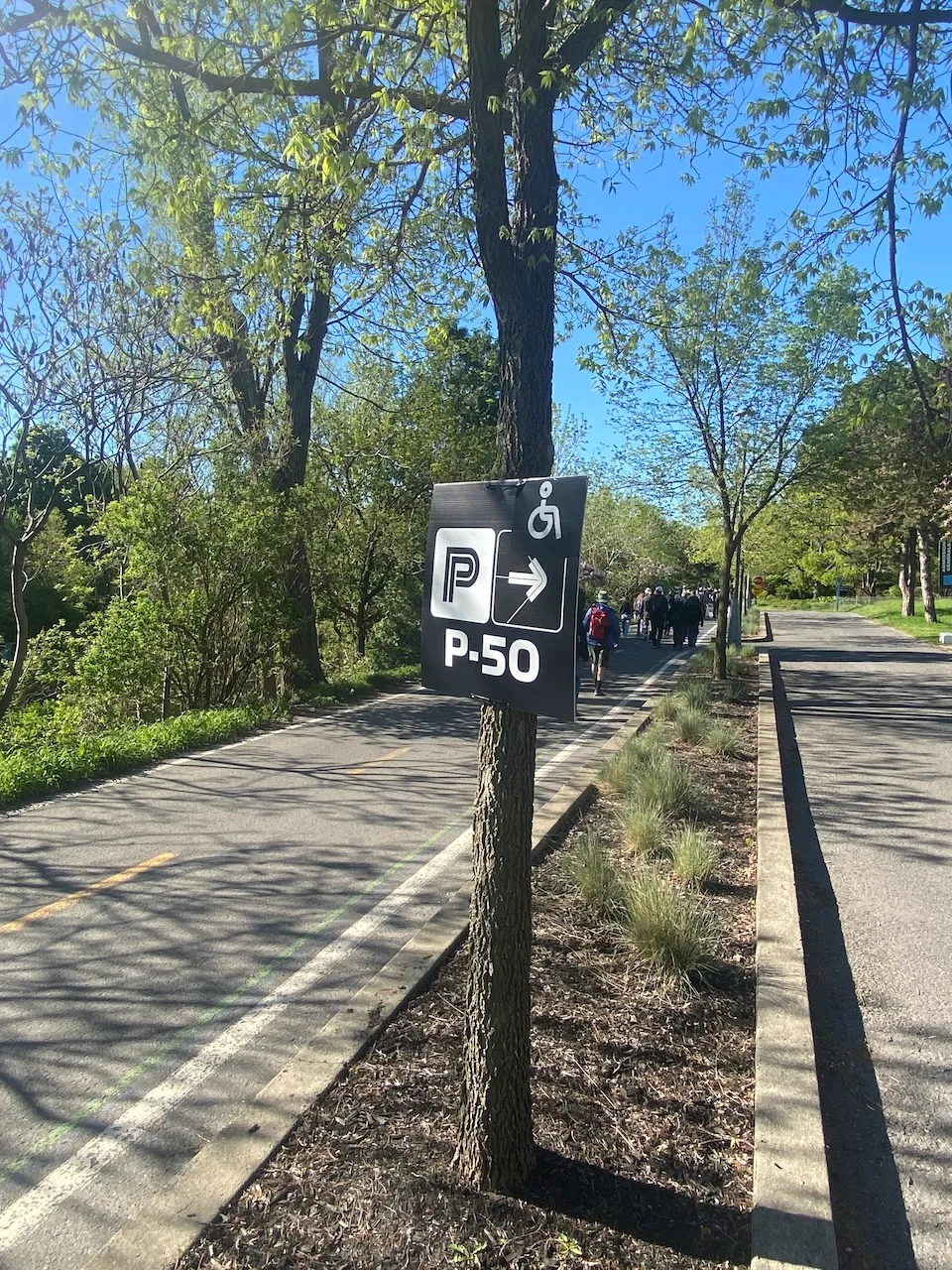 Parking Signs - Stand 41 A