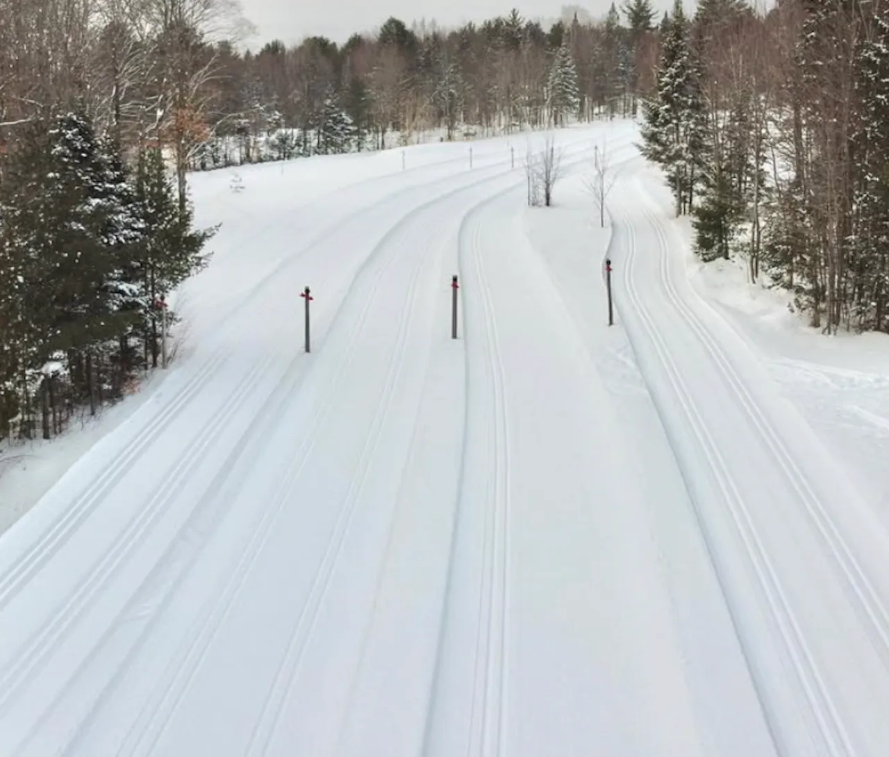 Cross-country ski trails