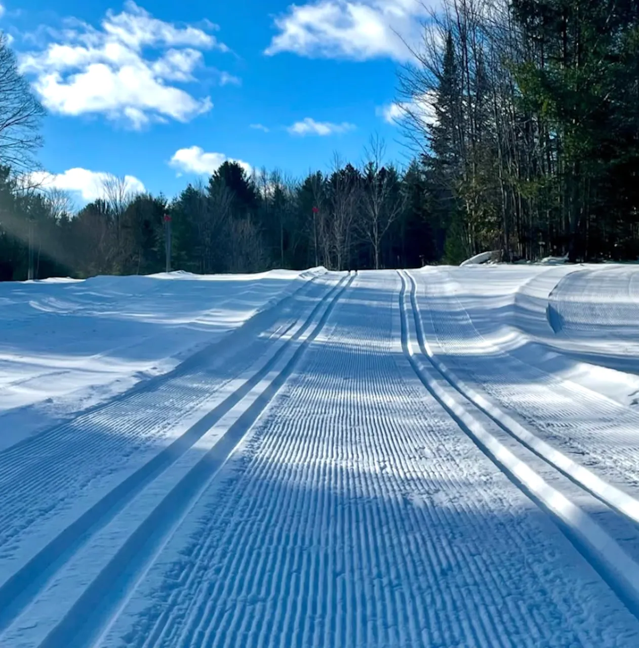 Cross-country ski trails