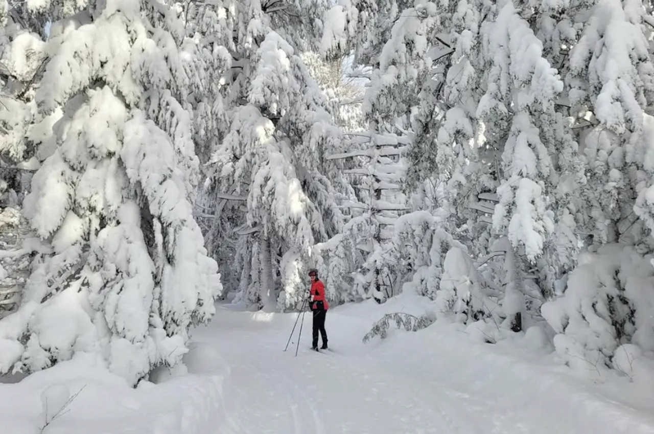 Cross-country ski trails