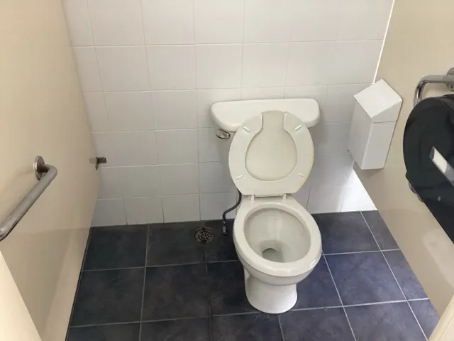 Toilet