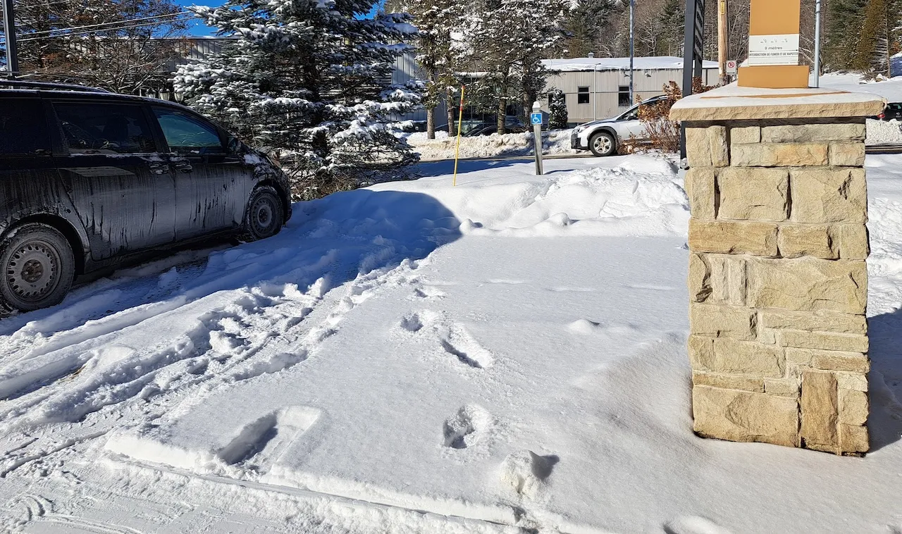 Reserved parking