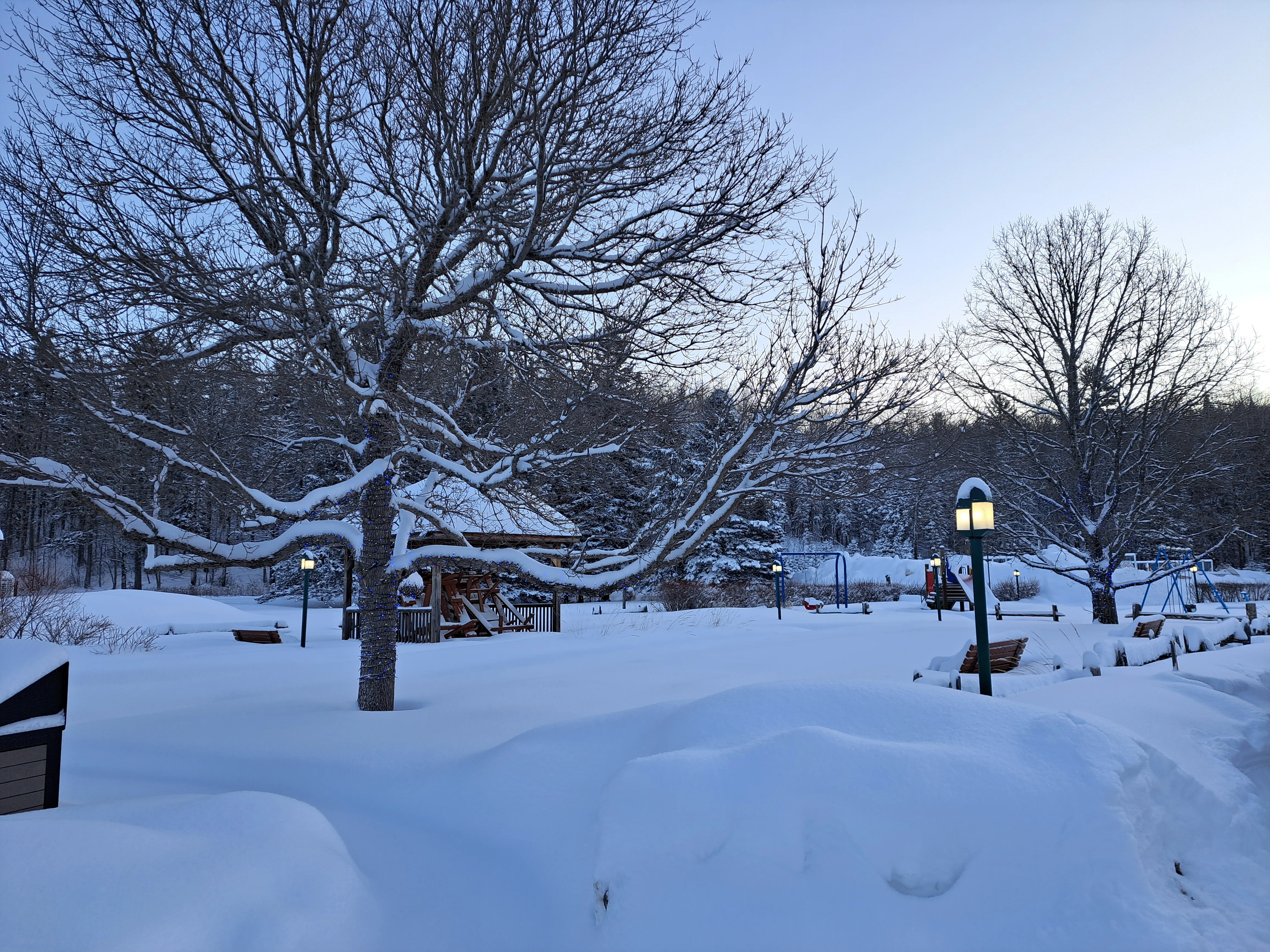 Winter - Adolph-Ozell Park