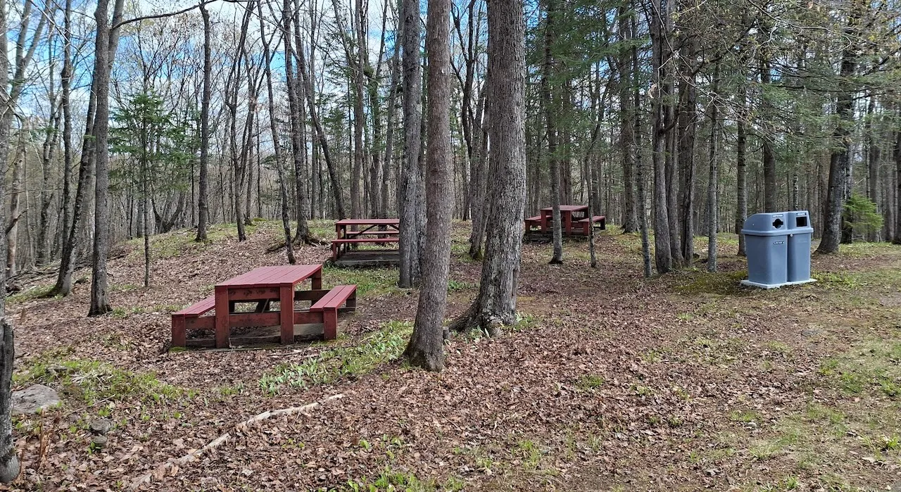 Picnic area
