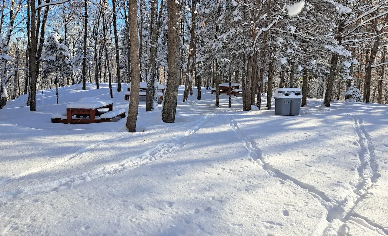 Winter - Picnic area